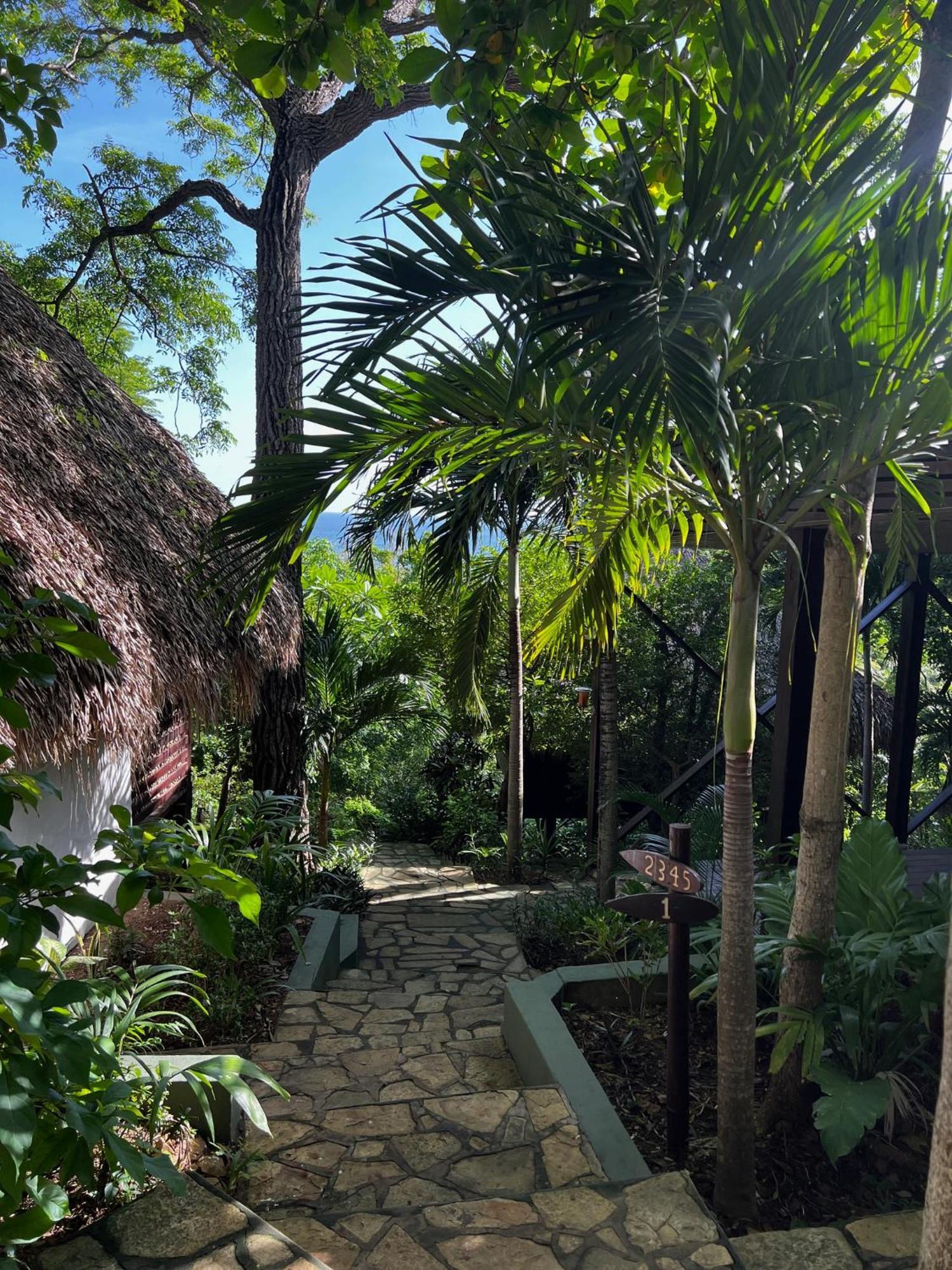 Buena Vista Surf Club Hotel El Plantel Buitenkant foto